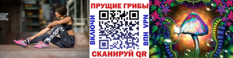 Псилоцибиновые грибы MAGIC MUSHROOMS  блэк спрут зеркало  Кизляр 