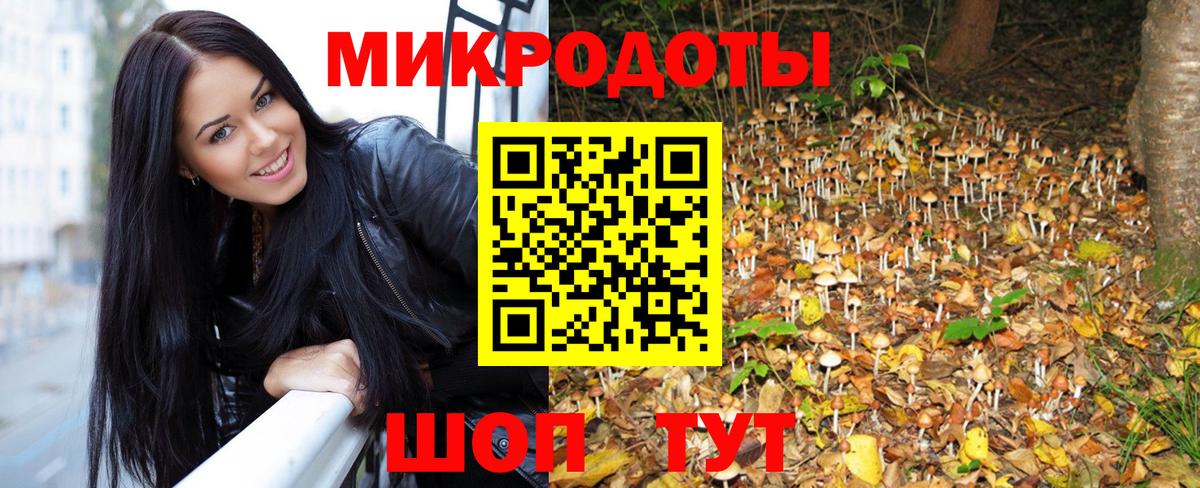 Кизляр  Псилоцибиновые грибы мицелий  цены наркотик  Вход с VPN 